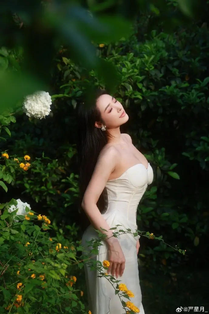 Mac固件安全警示