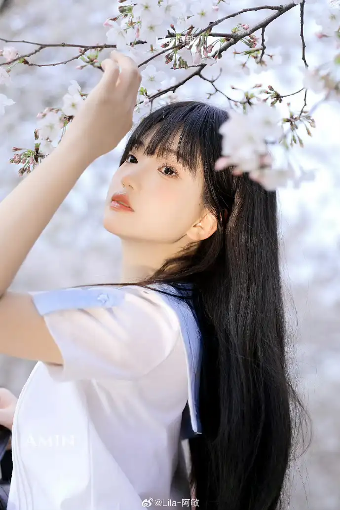 新浪新闻用户增长数据